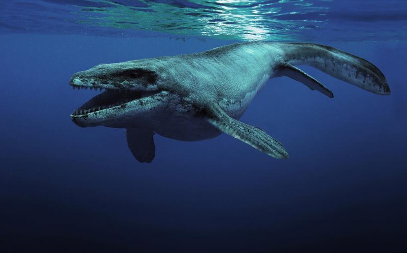 A scene from "Sea Rex: Journey to a Prehistoric World."