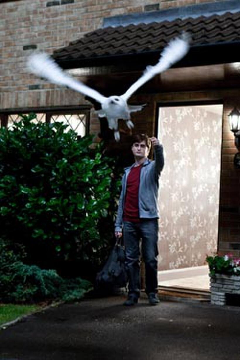 Daniel Radcliffe in "Harry Potter and the Deathly Hallows Part 1"