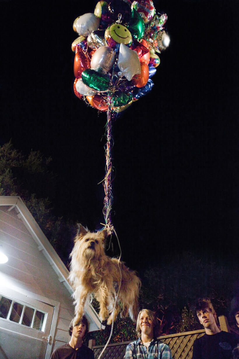 A scene from "Project X."