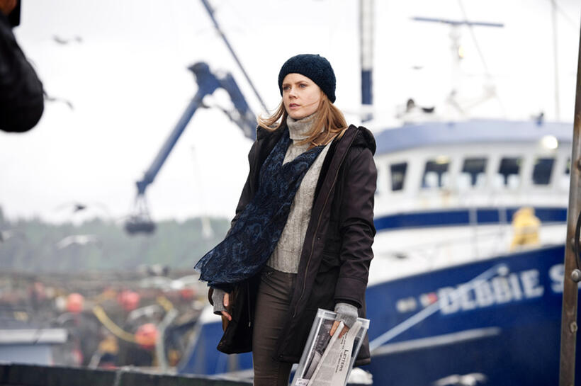 Amy Adams as Lois Lane in "Man of Steel."