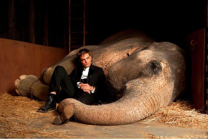 Robert Pattinson as Jacob and Rosie the elephant in "Water for Elephants."