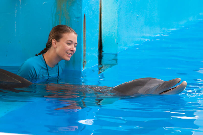 Austin Highsmith as Phoebe and Winter in "Dolphin Tale."