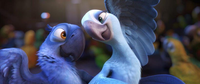 Blu voiced by Jesse Eisenberg and Jewel voiced by Anne Hathaway in "Rio The Movie."
