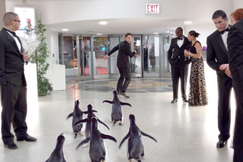 A scene from "Mr. Popper's Penguins."