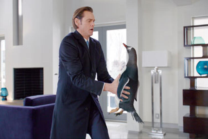 Jim Carrey as Tom Popper in "Mr. Popper's Penguins."