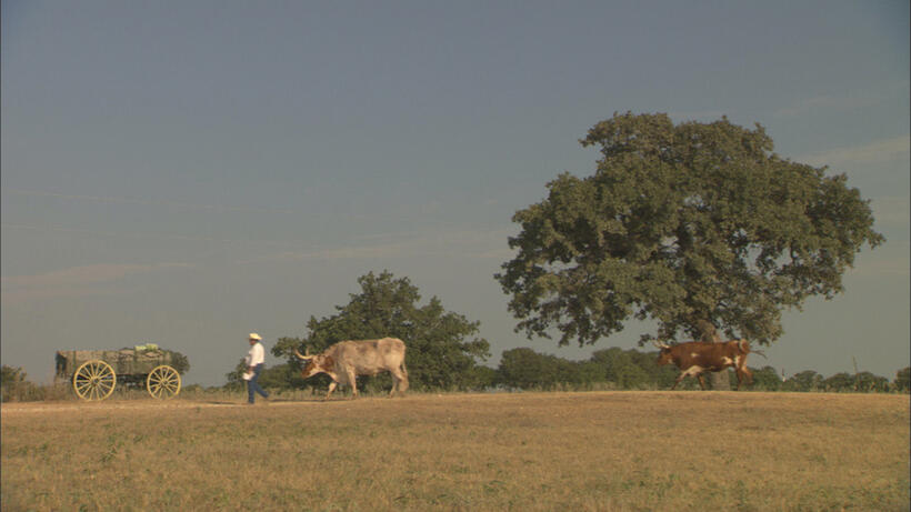 A scene from "Wild Horse, Wild Ride."
