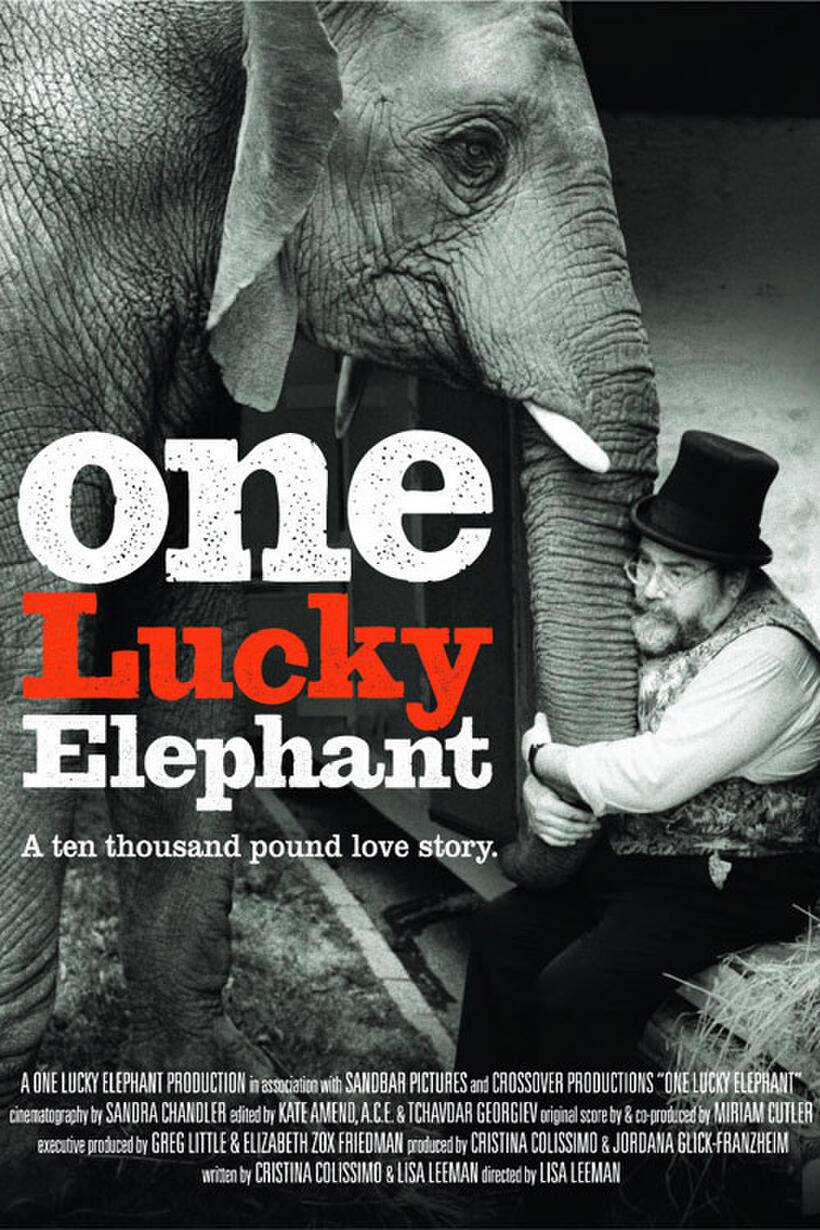 Poster art for "One Lucky Elephant."