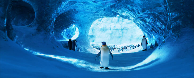 Miss Viola voiced by Magda Szubanski in "Happy Feet Two."