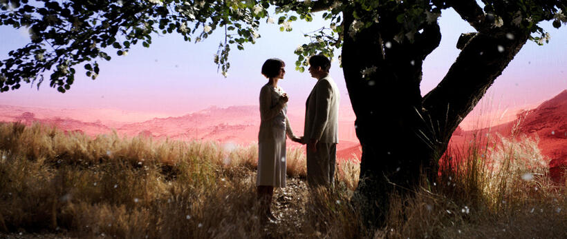 Golshifteh Farahani as Irane and Mathieu Amalric as Nasser Ali in "Chicken With Plums."