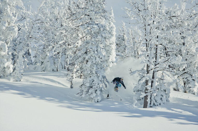 Travis Rice in "The Art of Flight."