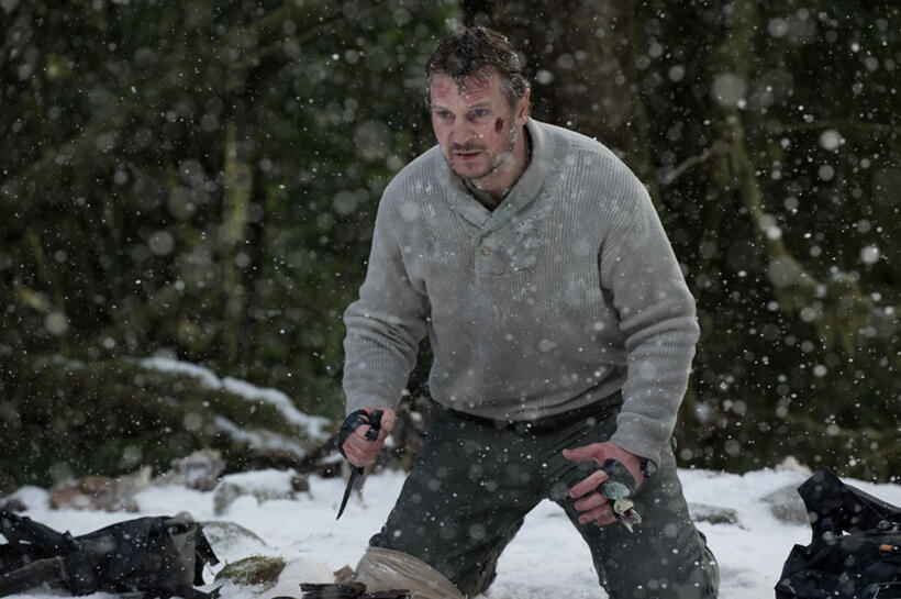 Liam Neeson in "The Grey."