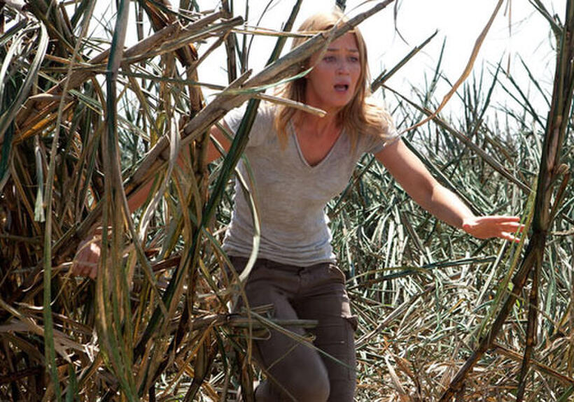 Emily Blunt in "Looper."