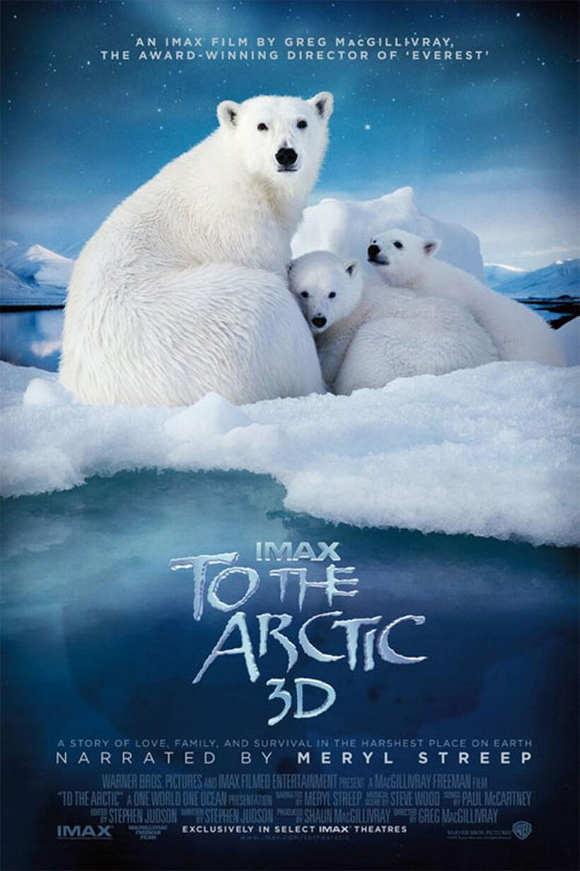 Poster art for "To the Arctic 3D."