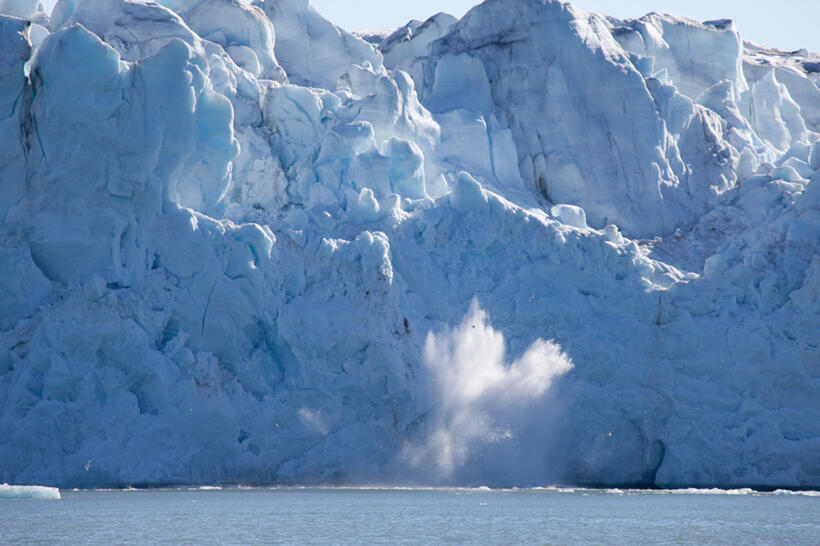 A scene from "To the Arctic."