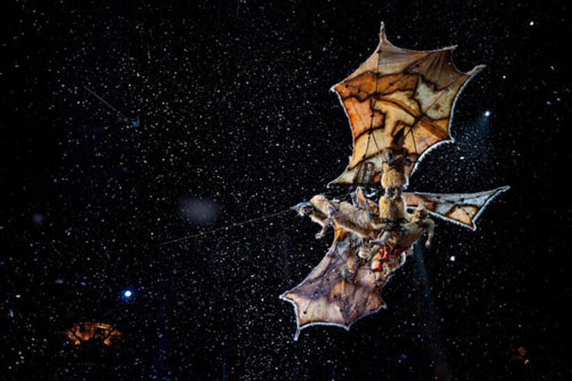 A scene from "Cirque du Soleil: Worlds Away."