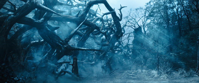 Elle Fanning as Princess Aurora in "Maleficent."