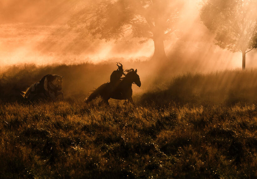 Angelina Jolie as Maleficent in "Maleficent."