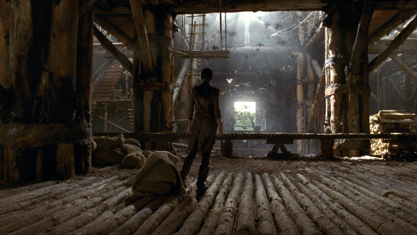 A scene from "Noah."
