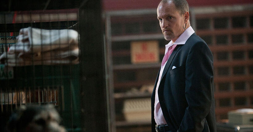 Woody Harrelson in "Seven Psychopaths."
