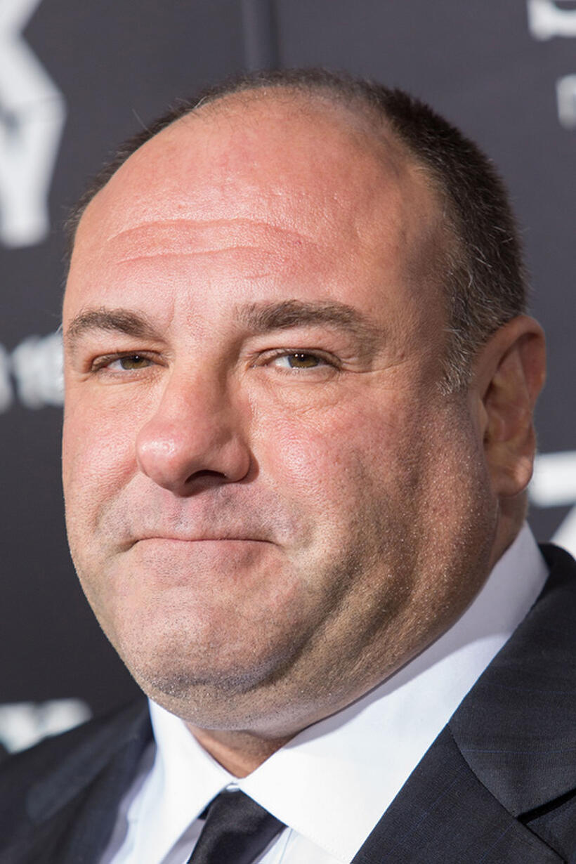 James Gandolfini at the California premiere of "Zero Dark Thirty."