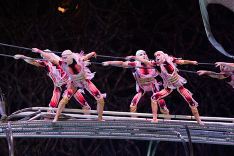A scene from "Cirque du Soleil: Worlds Away 3D."