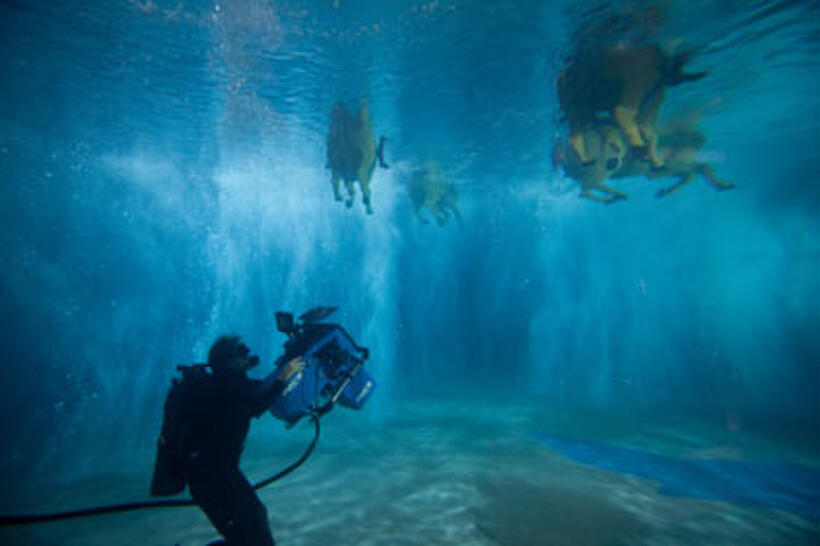 A scene from "Cirque du Soleil: Worlds Away 3D."