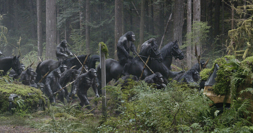 A scene from "Dawn of the Planet of the Apes."