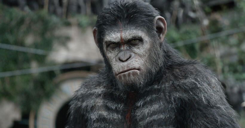 A scene from "Dawn of the Planet of the Apes."