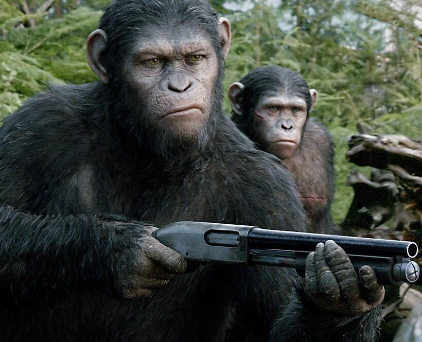 Dawn of the Planet of the Apes