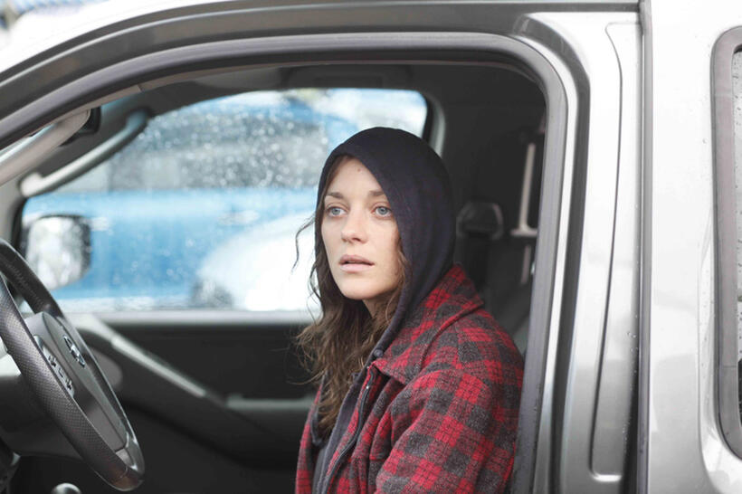 Marion Cotillard as Stephanie in "Rust and Bone."