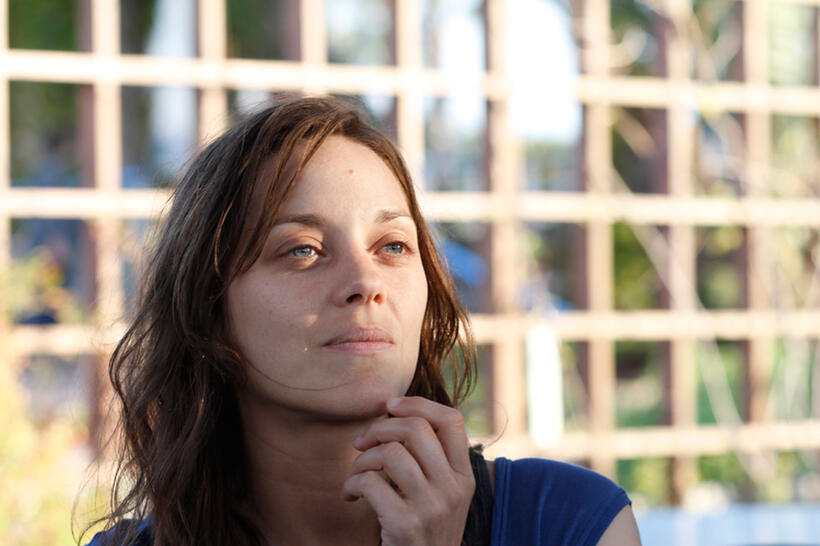 Marion Cotillard as Stephanie in "Rust and Bone."