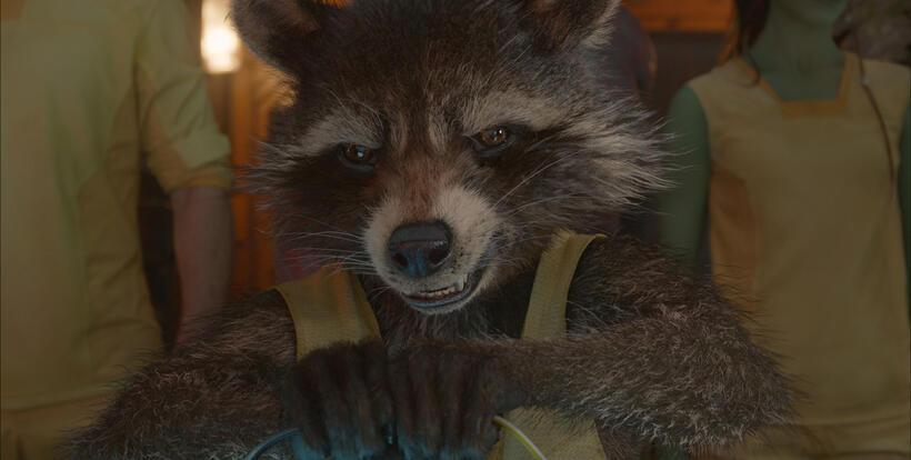 Rocket Racoon Voiced by Bradley Cooper in "Guardians of the Galaxy."
