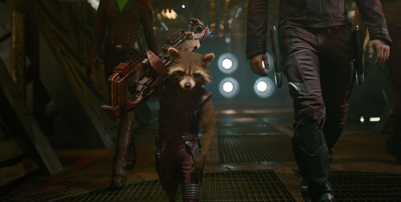 Rocket Racoon Voiced by Bradley Cooper in "Guardians of the Galaxy."