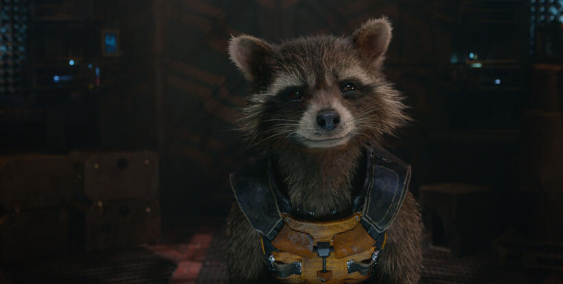 Rocket Racoon Voiced by Bradley Cooper in "Guardians of the Galaxy."