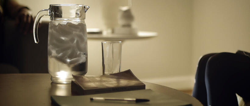 A scene from "Upstream Color."