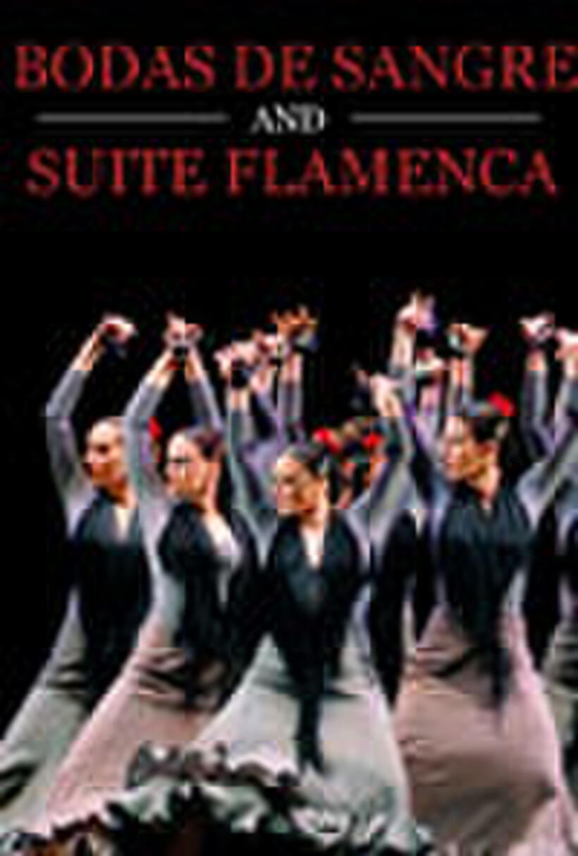 Poster art for "Bodas de Sangre / Suite Flamenca."
