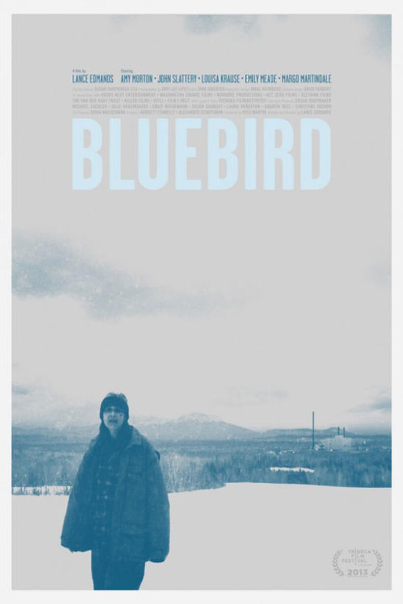Tribeca Poster Art for "Bluebird."
