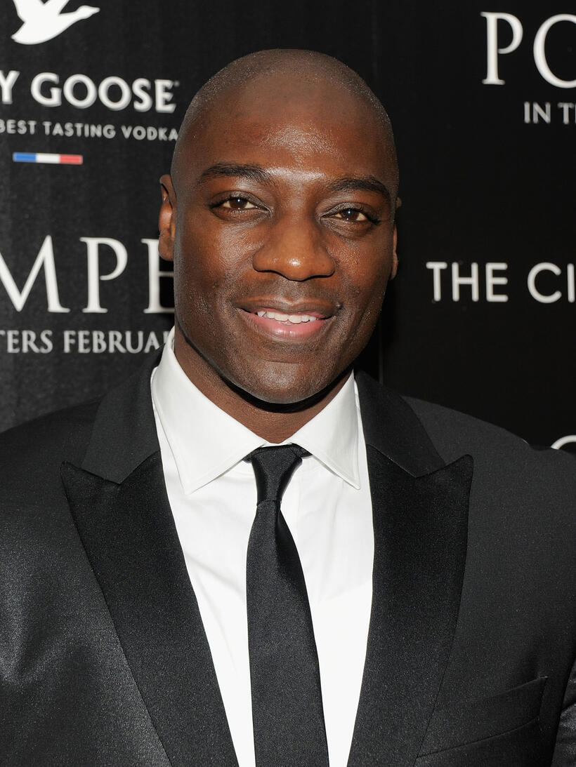 Adewale Akinnuoye-Agbaje at the New York premiere of "Pompeii."