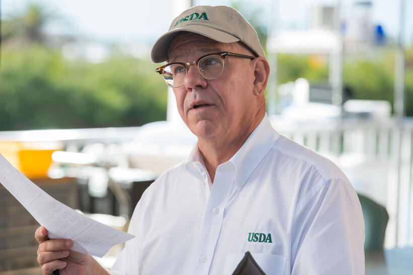 Charles Martin Smith as George Hatton in "Dolphin Tale 2."