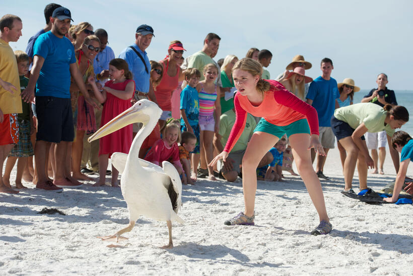 Cozi Zuehlsdorff as Hazel Haskett in "Dolphin Tale 2."