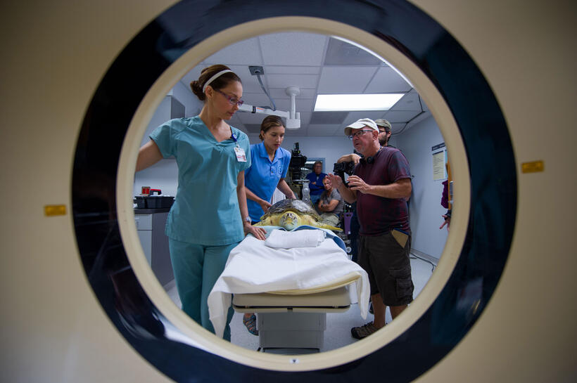 Ashley Judd, Juliana Harkavy and Director Charles Martin Smith on the set of "Dolphin Tale 2."