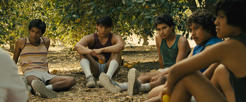Michael Aguero as Damacio Diaz, Carlos Pratts as Thomas Valles, Rafael Martinez as David Diaz, Ramiro Rodriguez as Danny Diaz and John Ortiz as Jose Cardenas in "McFarland, USA."