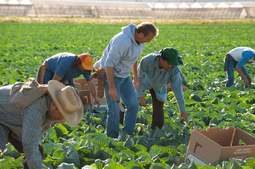 Kevin Costner as Jim White and Rafael Martinez as David Diaz in "McFarland, USA."