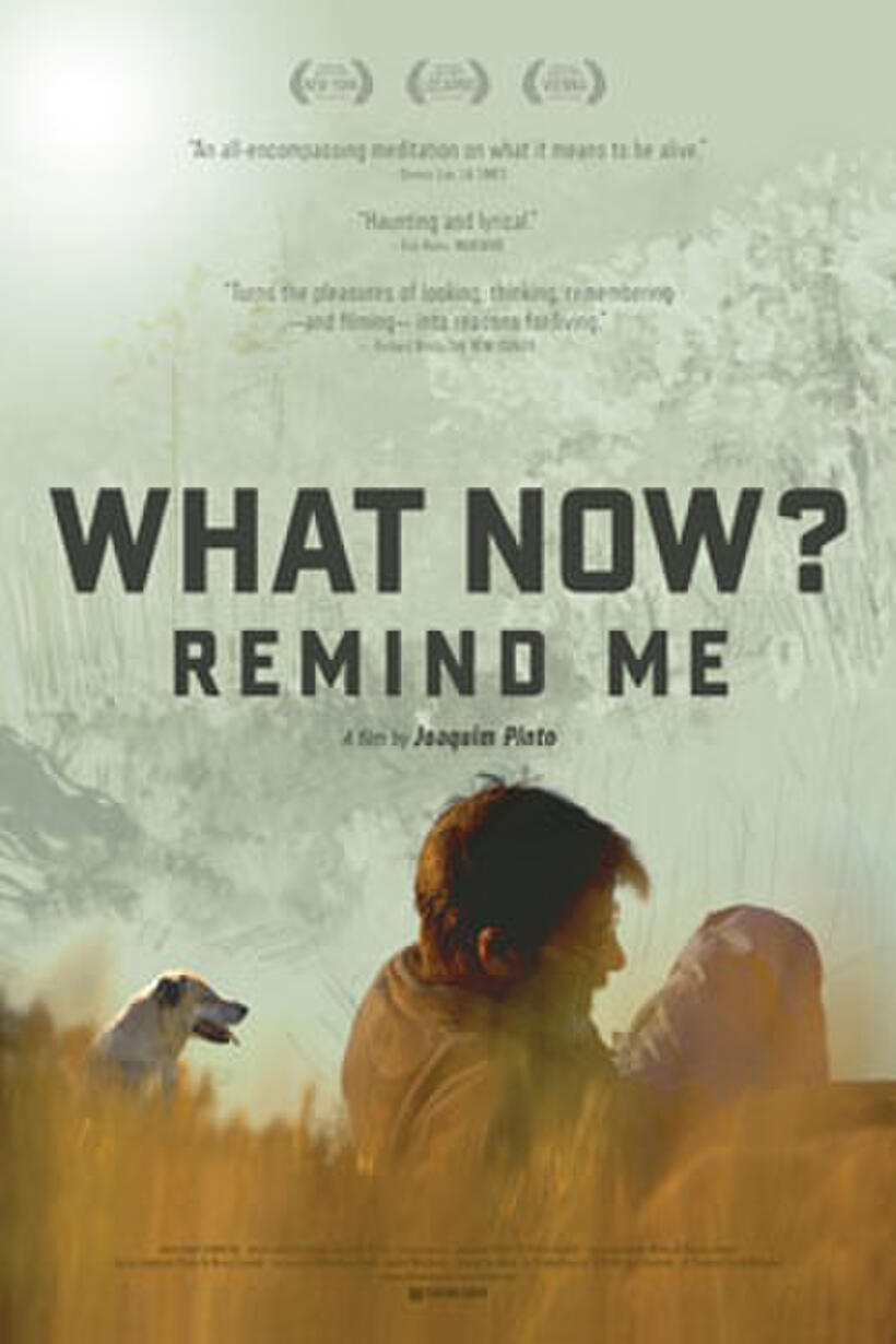 Poster art for "What Now? Remind Me"