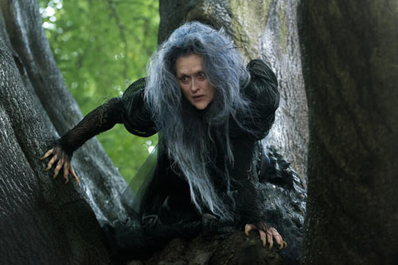 Meryl Streep in "Into the Woods."