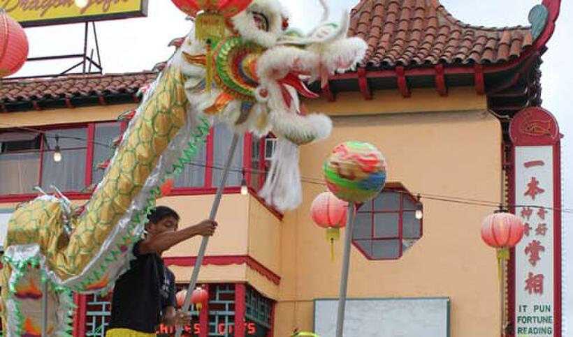 A scene from "Dragons: Real Myths and Unreal Creatures."