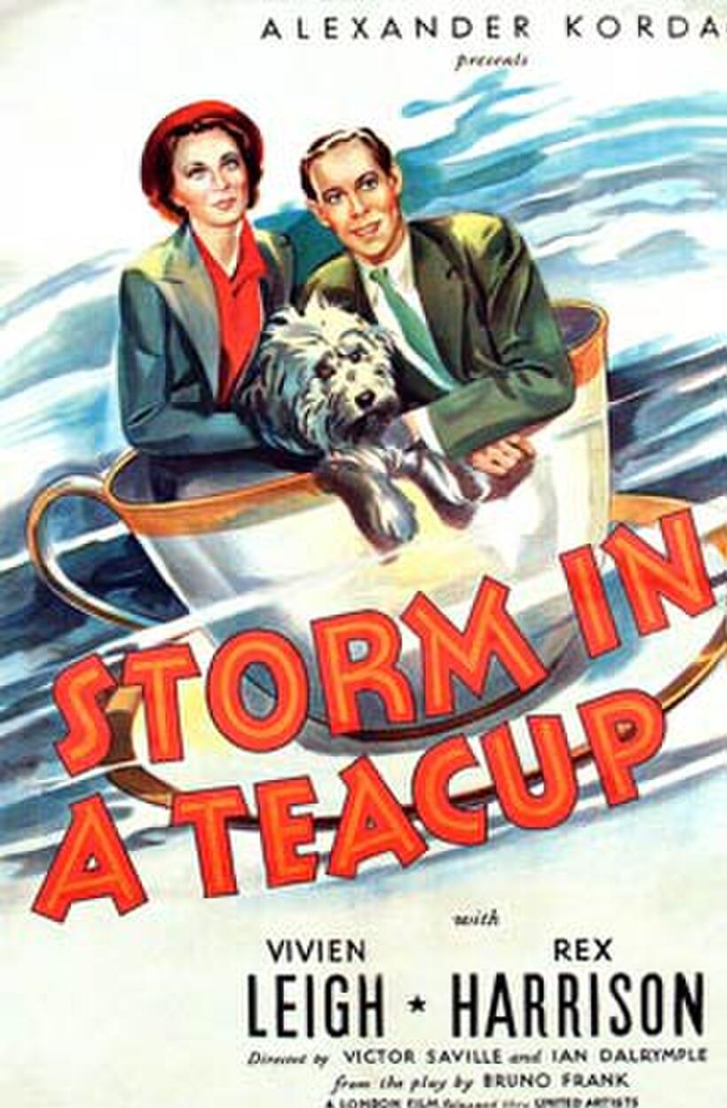 Poster art for "Storm in a Teacup."