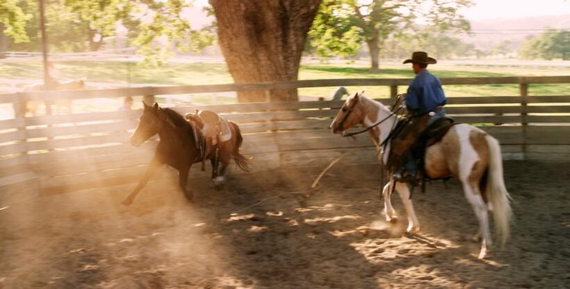 A scene from "American Mustang."
