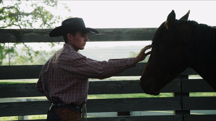 A scene from "American Mustang."