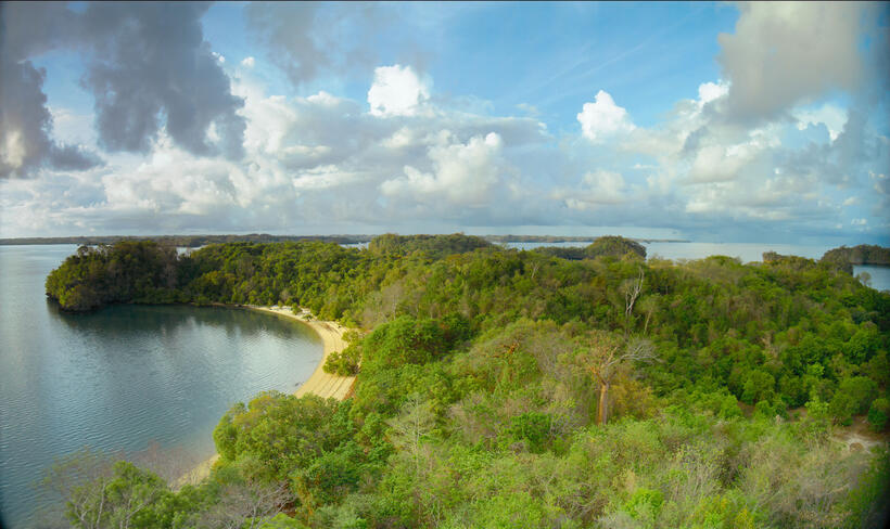 A scene from "Island of Lemurs: Madagascar."
